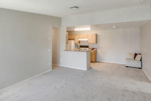 Living room and kitchen